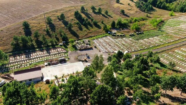 Wide shot snail farm on sunny day outdoors with live camera spinning around. Aerial view of wooden decks in rows with edible delicatessen breeding in sunshine