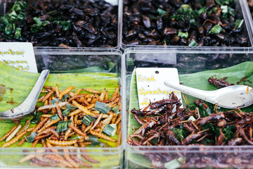 Fried food insects. Exotic cooked insect snacks on street asian market.