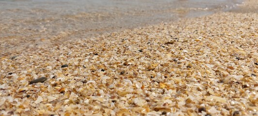 Sunny day on the sea shore