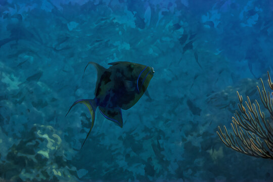 Digitally created watercolor painting of Balistes vetula the queen triggerfish or old wife a reef dwelling triggerfish