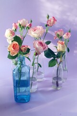 Fresh pink roses in glass transparent vases, flowers for romantic greetings, happy birthday, invitations, postcard