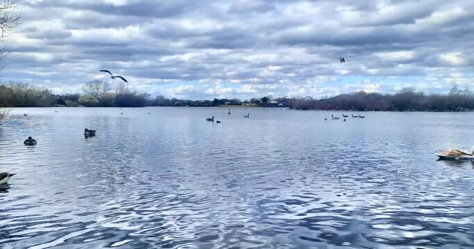 24 February 2023 Ilford London UK Fairlop waters country park Video Fairlop Waters Country Park is a picturesque nature reserve located in the London Borough of Redbridge. This stunning park boasts 