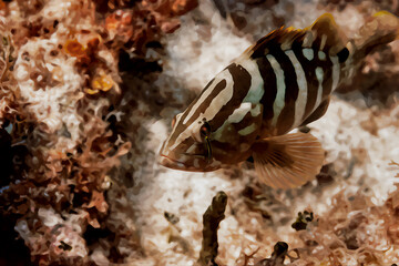 Digitally created watercolor painting of Nassau Grouper Epinephelus striatus swimming underwater