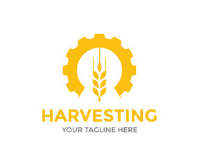 Yellow wheat ears and gear, quality farm product in gold color. Agriculture symbol, wheat, barley logo design. Harvesting wheat bread agriculture. Wheat is harvesting vector design and illustration.

