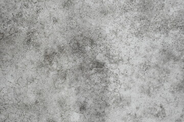 Mold on wall textured background