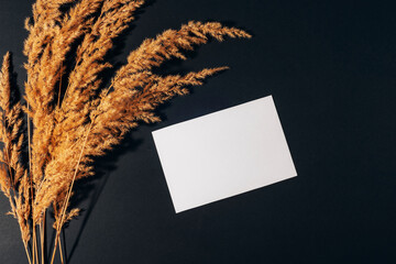 Pampas grass and blank card on black background. Top view, flat lay, mockup