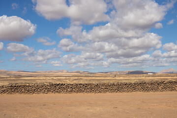 Lnadscape with a stone fence, Fuerteventura