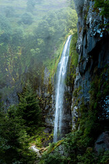 La beauté naturelle d'une cascade dans la forêt