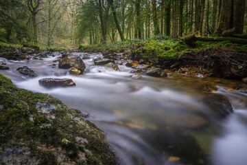 La rivière coule