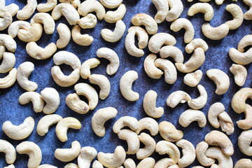 Raw whole dried Cashew nut