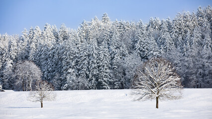 Winterlandschaft
