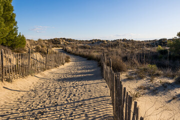 Cheminement &agrave; travers les dunes de sable vers la plage du Petit Travers &agrave; Carnon