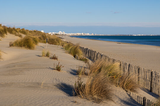 Vue &agrave; l'horizon sur les immeubles de La Grande-Motte depuis la plage du Petit Travers &agrave; Carnon