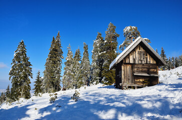 wooden house in the mountains