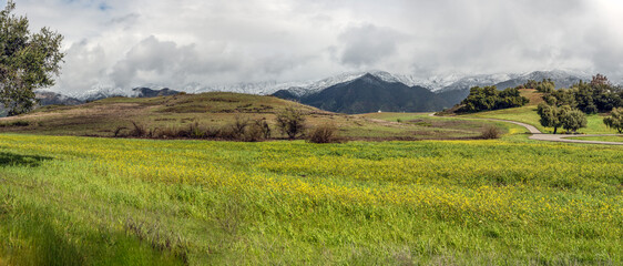 Ojai mountains covered in snow with rolling hills and threatening clouds among the mustard...