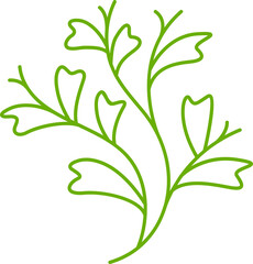 green leaves and branch line illustration