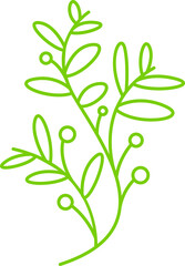 decorative leaves and plant line illustration