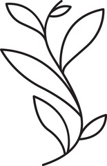 decorative leaves and plant line illustration