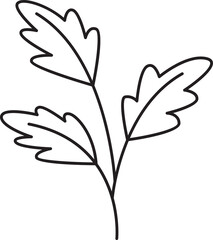 leaves and branch line illustration