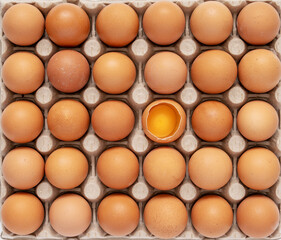 Brown hen eggs in carton box