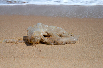 Fototapeta na wymiar Plastic bag pollution on the beach