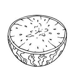 Linear sketch of a half of a watermelon berry.Vector graphics.