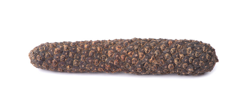Dry Indian long pepper on a white background. Piper Longum. Piper retrofractum. Herbal medical plant concept.