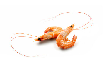Two raw Argentinian prawns with whiskers