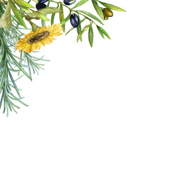 Olive branches, rosemary and sunflower, black olives and green olives. Frame, border, hand drawn watercolor. Design for cards, invitations, wrapping paper, stationery.