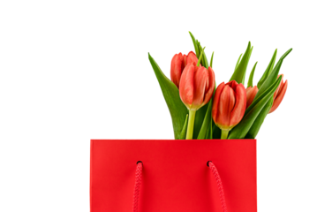 Spring red tulips in gift bag isolated on a transparent background