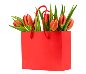 Spring red tulips in red gift bag isolated on a transparent background
