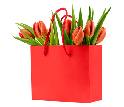 Spring red tulips in red gift bag isolated on a transparent background