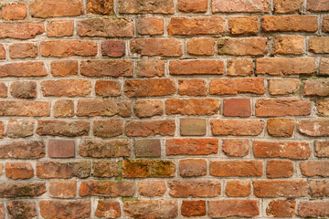 Fototapeta premium Texture of an old red brick wall.