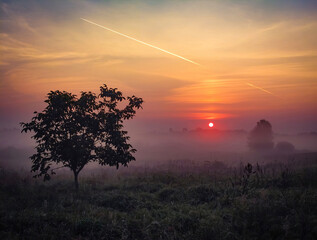 Zjawiskowy wschód słońca nad łąkami. Czysta natura o poranku.
