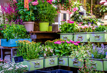 flowers at a floristry - austria