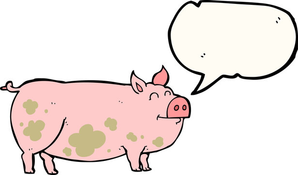 speech bubble cartoon muddy pig