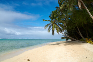 Tropical beach with coconut palm and turquoise sea, Rarotonga, Cook Islands