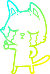 cold gradient line drawing crying cartoon cat