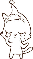 Crying Cat Charcoal Drawing