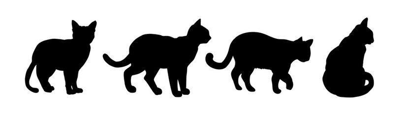 Obraz na płótnie Canvas set of cat silhouettes isolated - vector illustration
