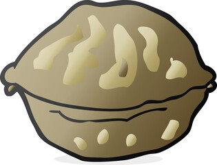 cartoon walnut in shell
