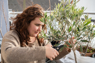 Woman with brown curly hair and beige pullover is sitting on the balcony and cutting an olive tree with a secateurs, side view