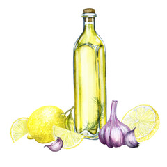 Watercolor hand drawing, oil in a bottle. Olive branch, garlic and lemon. Design for invitations, cards, packaging, fabric and paper.