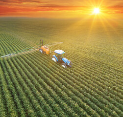 Aerial view of crop sprayer spraying pesticide on a soybean field at sunset, Drone shot flying over agricultural soybean field, tractor and crop sprayer protection plants