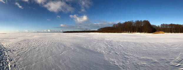 panorama, winter frozen lake, shore overgrown with forest