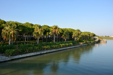 Fototapeta na wymiar Beautiful embankment near the river with palm trees, a park and gazebos