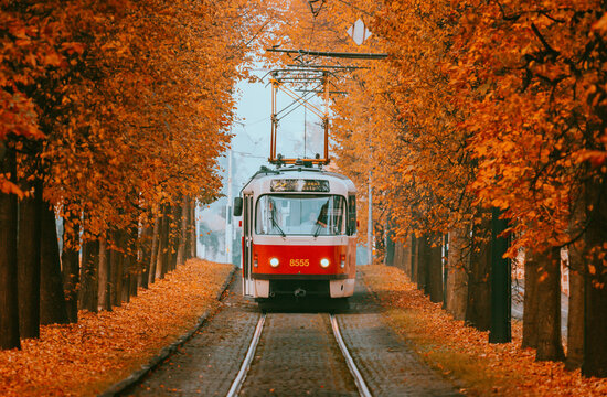 Prague Tatra t3 tram built in the 60s in an alley near Prague Castle during colorful autumn

