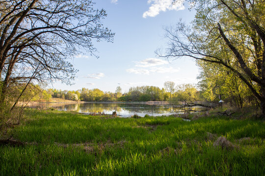 Minnesota Pond in Spring