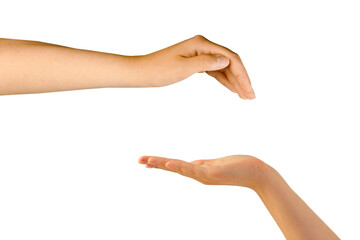Fototapeta premium Women's graceful hands. Hand over hand to present your product. hands show protection gesture on isolated white background. Health and body care theme: beautiful female hand on a white background