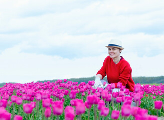 Naklejka na ściany i meble A woman sits among beautiful purple tulips in a field. A beautiful woman in a red sweater, straw hat and work gloves smiles. A woman works in a tulip field